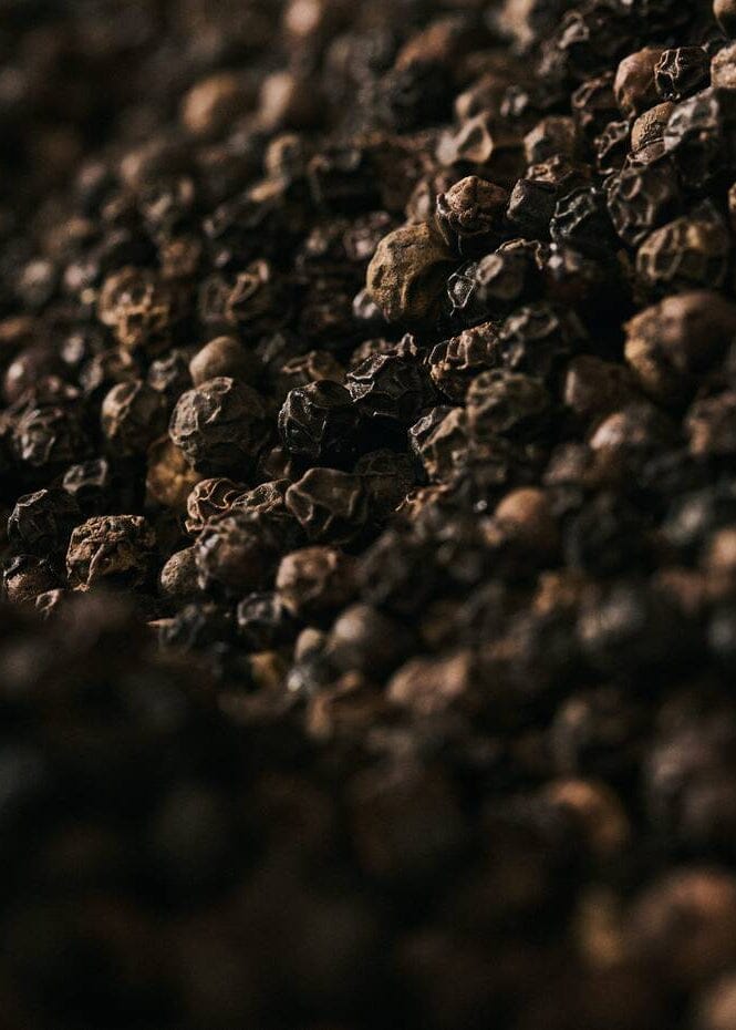 Aesop // Antithesis Intense Body Cleanser Beauty Aēsop 