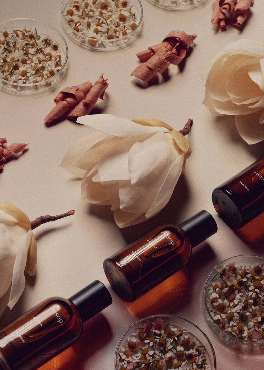 Aesop // Aurner EDP / 50mL Beauty Aēsop 