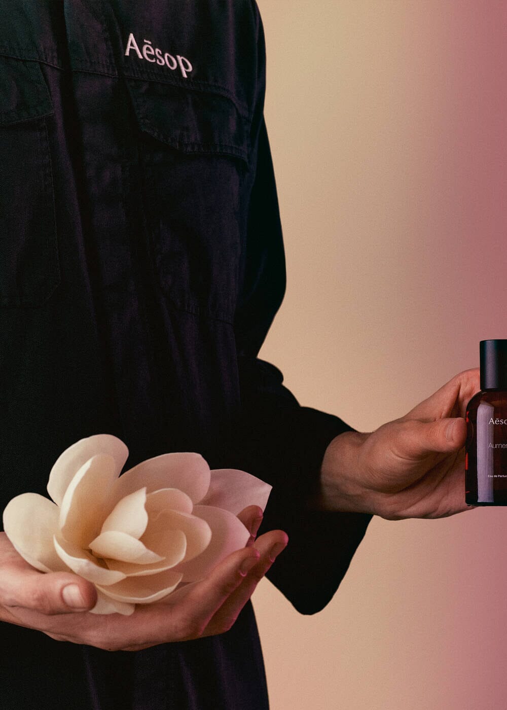 Aesop // Aurner EDP / 50mL Beauty Aēsop 