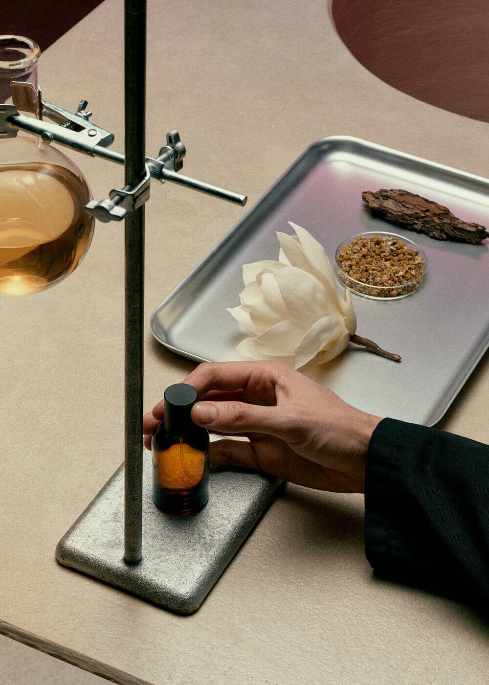 Aesop // Aurner EDP / 50mL Beauty Aēsop 