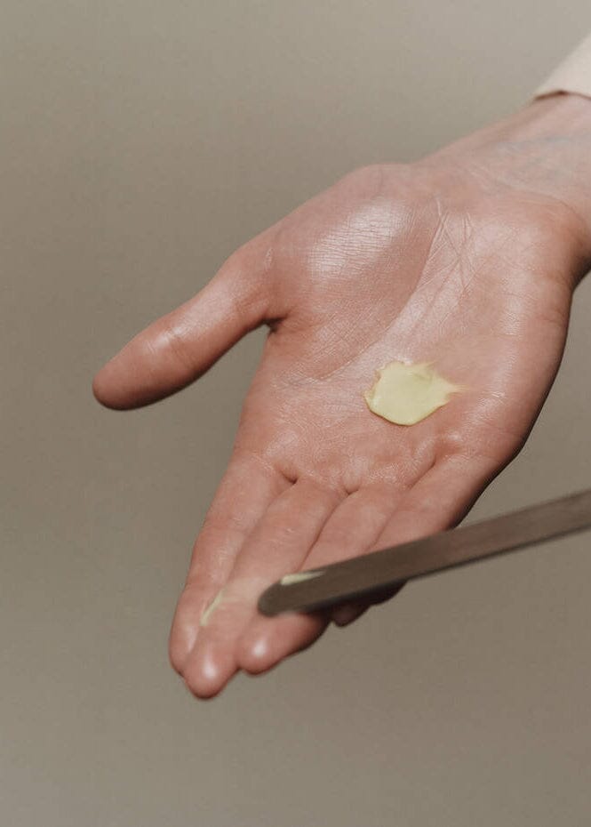 Aesop // Camellia Nut Facial Hydrating Cream / 60ml Beauty Aēsop 