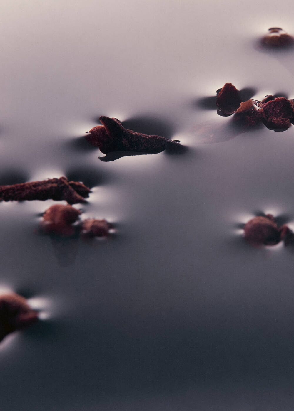 Aesop // Eleos Nourishing Body Cleanser Beauty Aēsop 