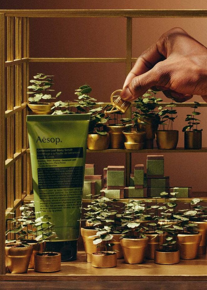 Aesop // Party In The Greenhouse / Gift Kit Beauty Aēsop 
