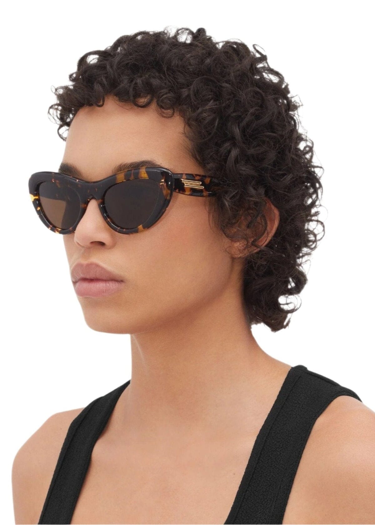 Bombe Cat Eye Sunglasses / Havana Brown Womens Bottega Veneta 