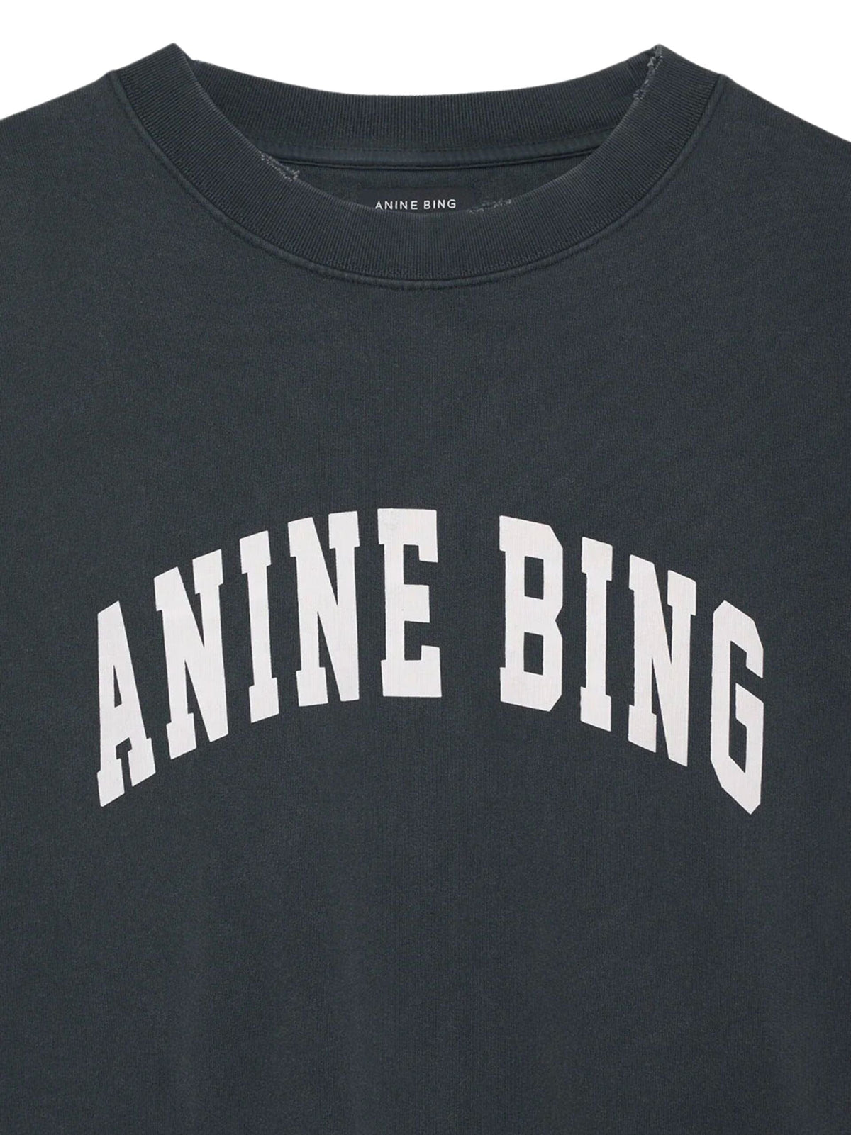Tyler Sweatshirt / Washed Black Womens Anine Bing 